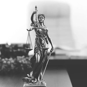 Available Services: Bankruptcy & Estate Planning